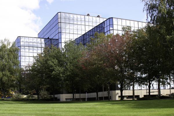 Commercial Tree Trimming in Monroe